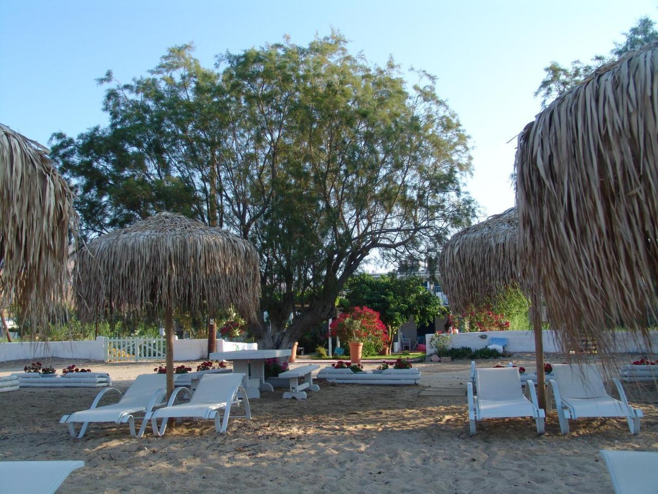 Avlomonasbeach Livadi  Dış mekan fotoğraf
